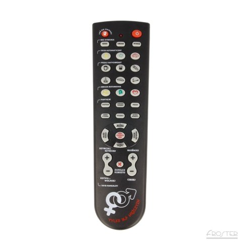 Gadający pilot - steruj Kobietą